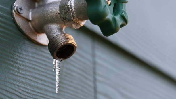 Best Water Heater Repair  in Encinal, TX