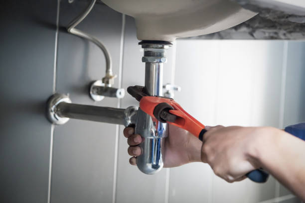 Best Commercial Plumbing Services  in Encinal, TX